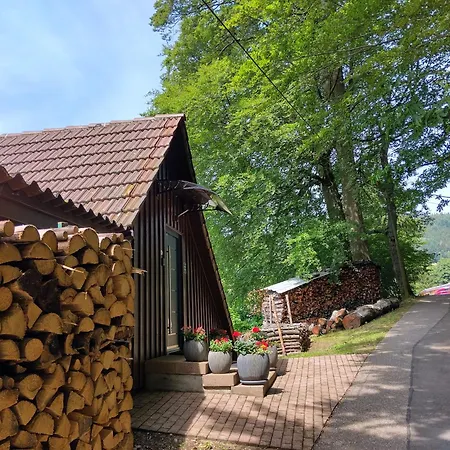 Apartment Haus 
